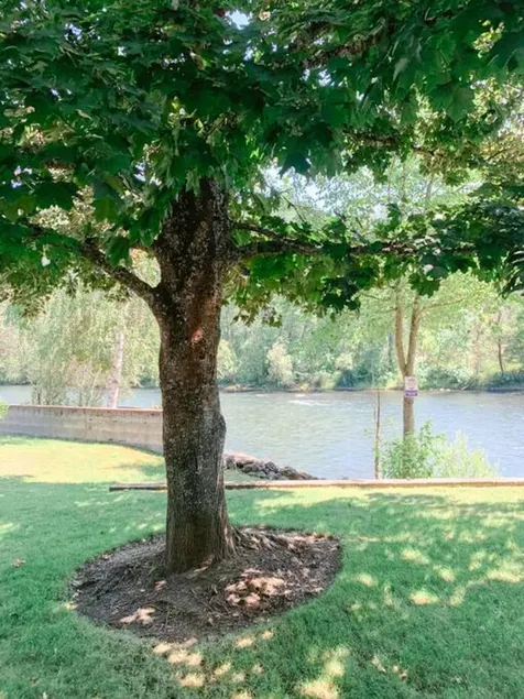 Eagle's Nest Cottage. Spacious 2 BR river retreat on the Rogue River. Enjoy ping-pong, BBQ, board games, and fishing. Remote work enabled with high-speed WiFi. Unplug and unwind! - Image 1
