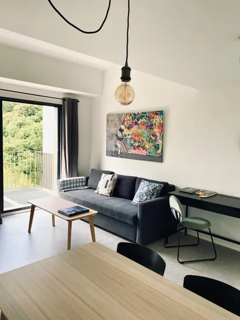 Near Nice, large, bright 2-room apartment with terrace - Image 1