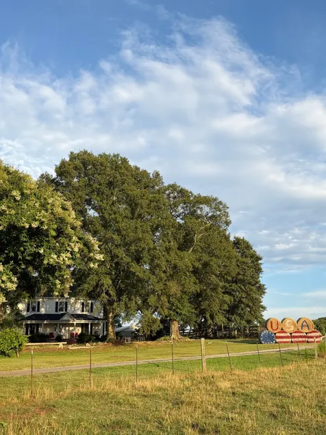 Historic Farm House/17 miles from Clemson - Image 1