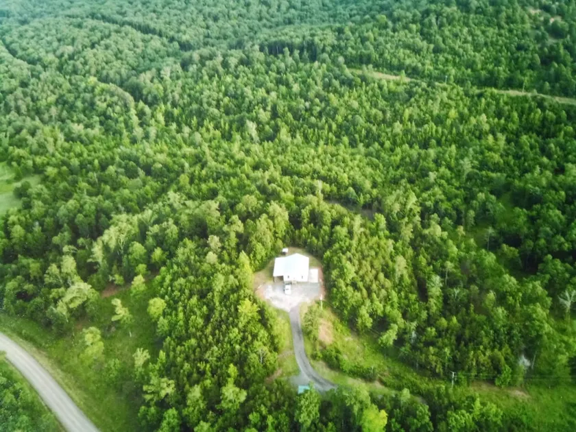 Sweet Little Bee Hive in the Ozarks! - Image 1
