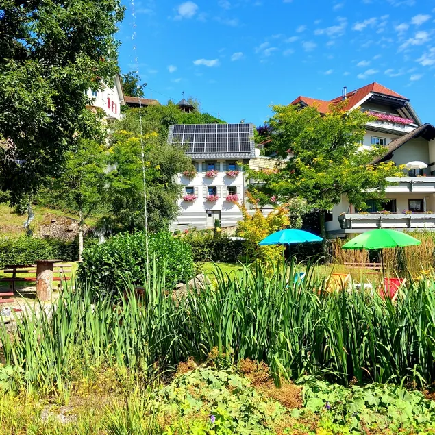 Climate-friendly holiday, in the little house - Image 1