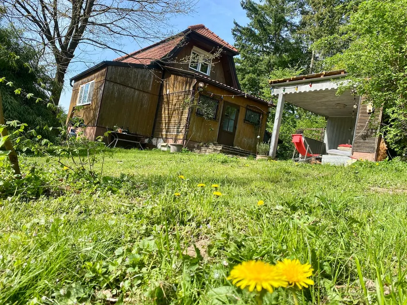 Van Sonnensee bee house - Image 1