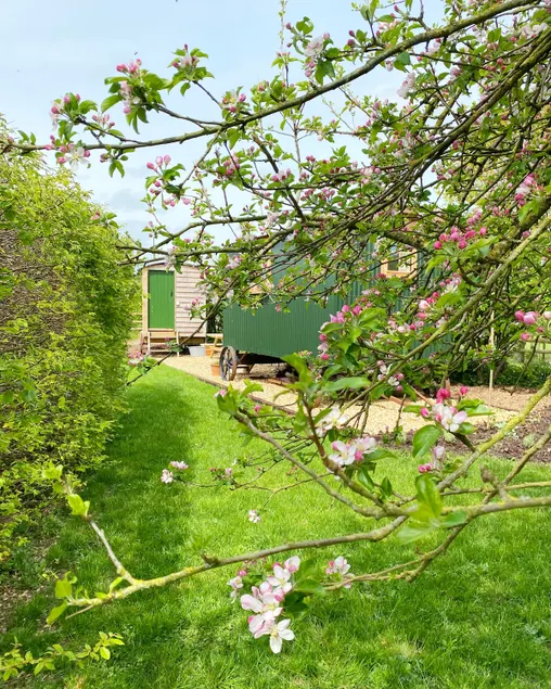 Luxury shepherds hut accommodation near Stonehenge - Image 1