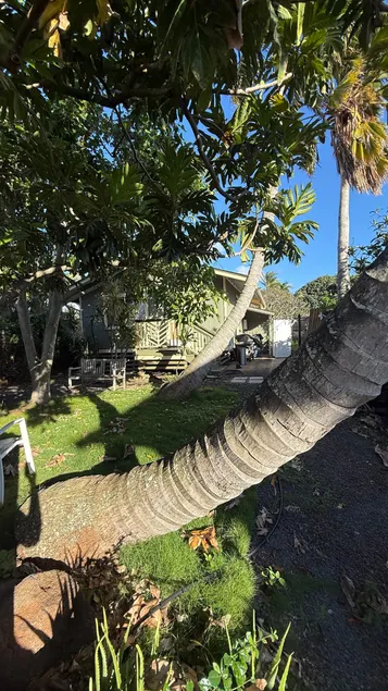 Kuau Beachy Family Cottage Maui - Image 1
