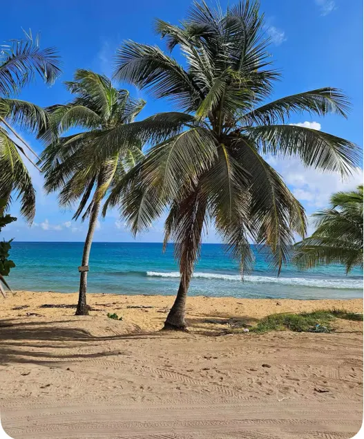 Near airport / Isla Verde / Dinning & top attractions - Image 1