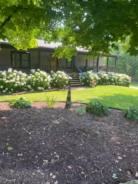 Downstairs Private Retreat in East Tennessee - Image 1