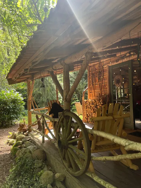 Fenced cabin, wood stove, campfire, dogs welcome - Image 1