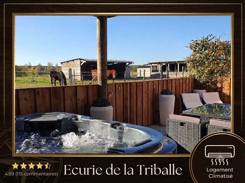 Lodge for 6 people, air conditioning, private spa, nature & horses - Image 1