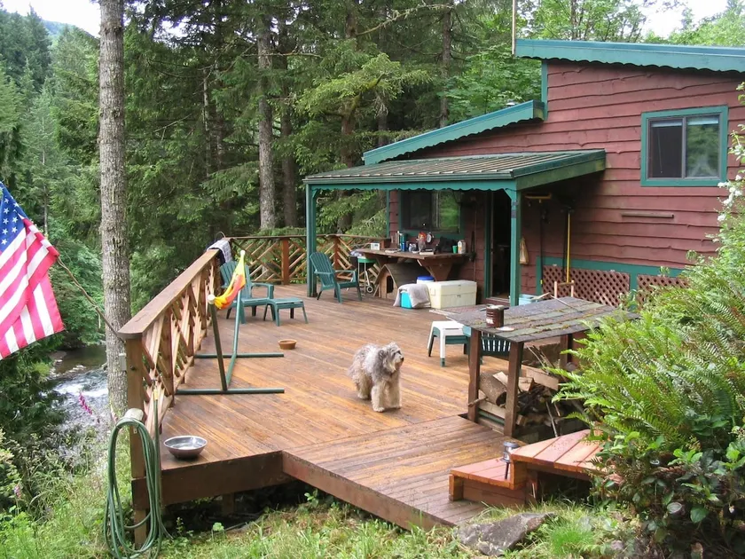 Welch Cabin <A License to Chill>                 ~we LOVE dogs~ - Image 1