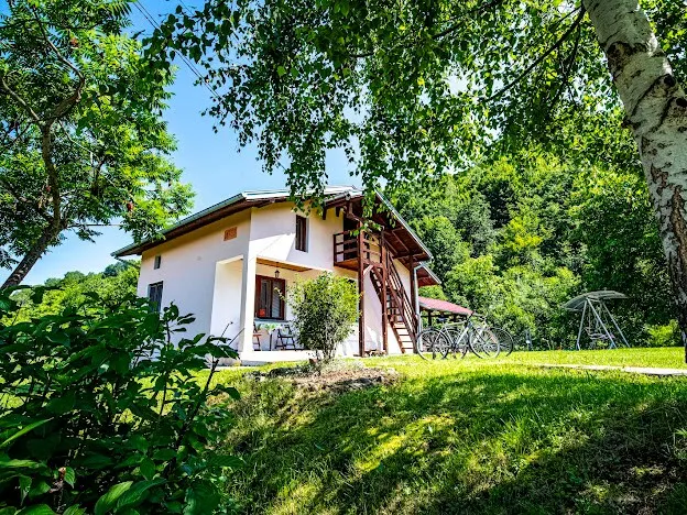 Вила „Деси” - Image 1