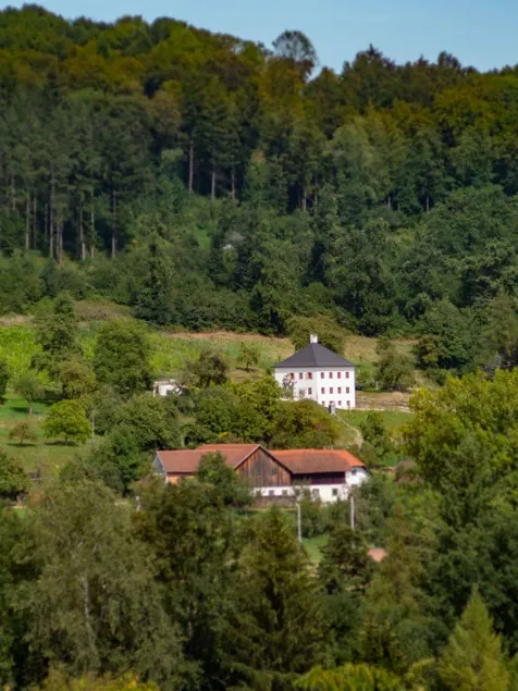 Trattnachtaler Weinhaus Haus - Image 1