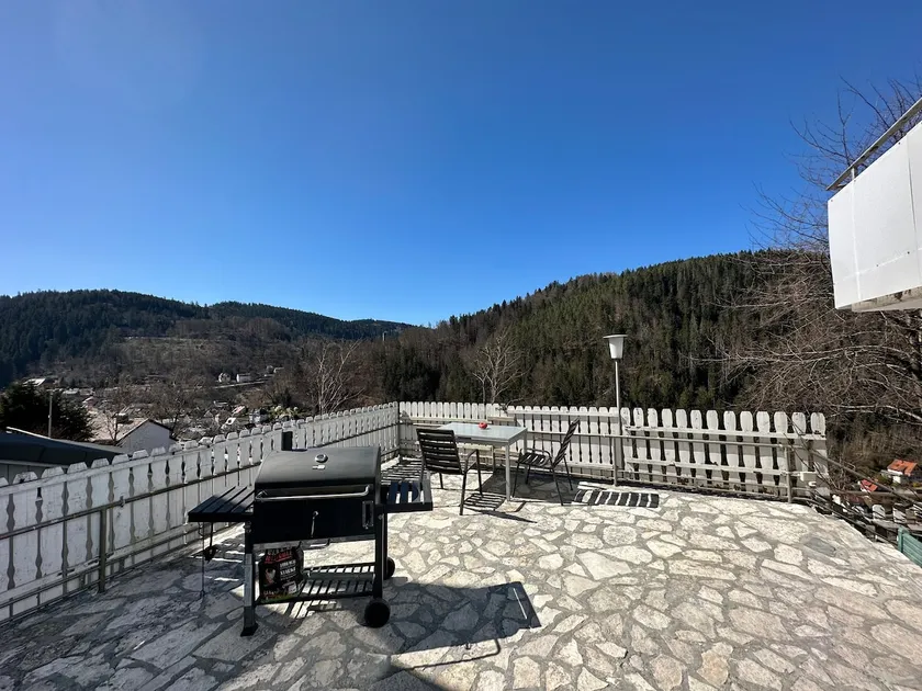 Dreiberge Apartment Sauna & Terrace at the edge of the forest - Image 1