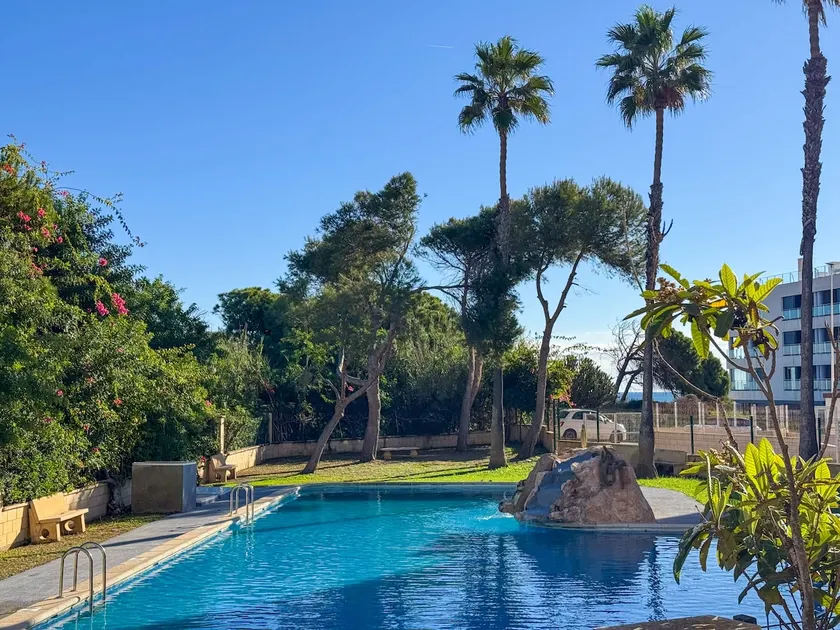 119 Sunny Dream - Alicante Holiday - Image 1