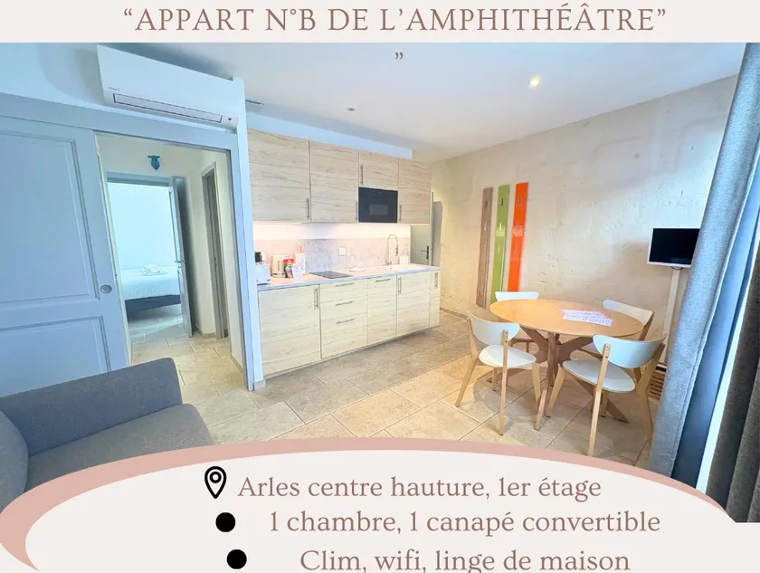 Holiday in Arles: Appartement de l'Amphithéâtre - Image 1
