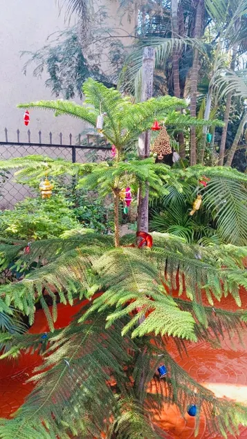 Boho style Living in Lonavla - Image 1