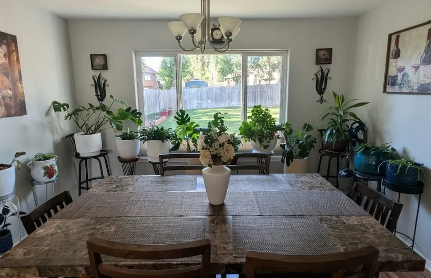 Green Oasis Getaway in Lovely Quiet Neighborhood - Image 1