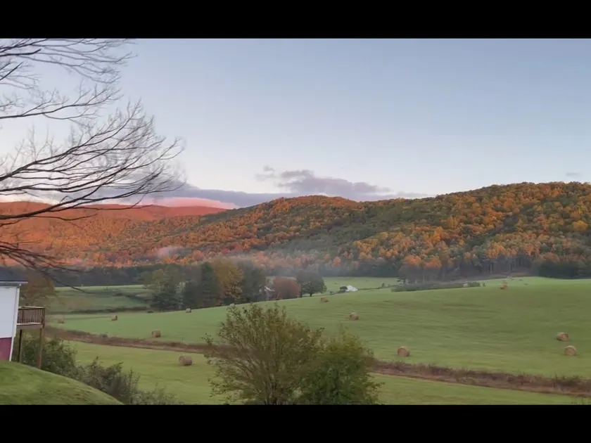 Massanutten/Shenandoa Park/Hiking Trails/Wine/UVA - Image 1