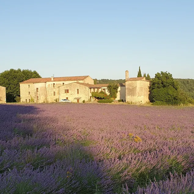 Accommodation in a stone farmhouse with swimming pool - Image 1
