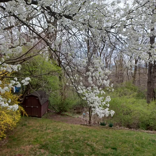 Home on the Ridge - Image 1