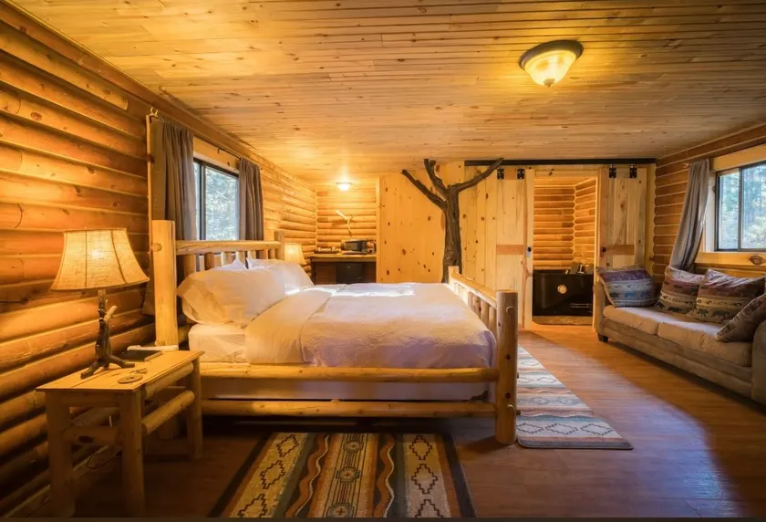 Hummingbird log cabin with private jacuzzi - Image 1