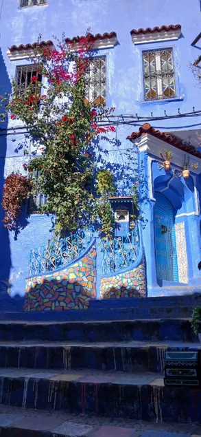 Riad Sara - Image 1