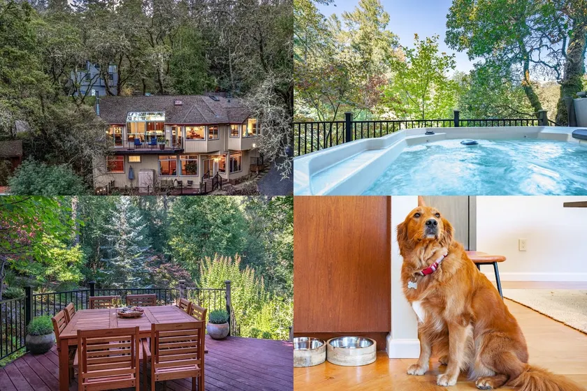 Russian River Redwoods: Hot Tub, Fire Pit, Dogs OK - Image 1