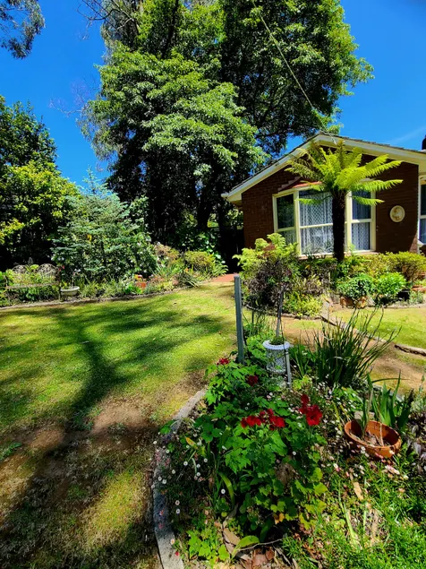 Studio in the foothills - Image 1