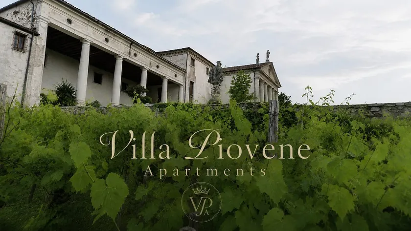 Vineyards, Nature and Venetian Villas - Image 1