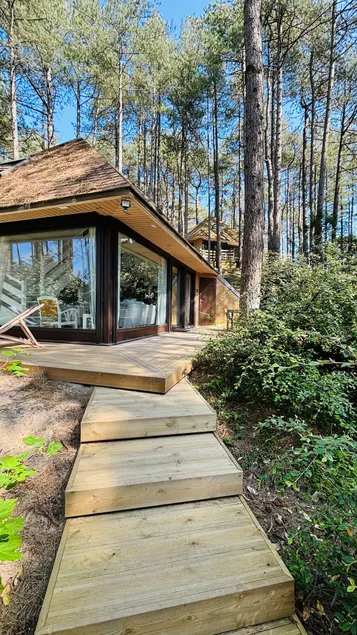 The house under the pines renovated 2024! - Image 1