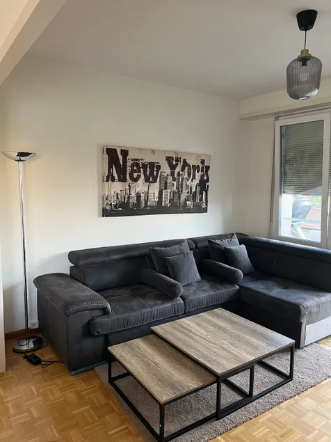 Beautiful apartment in Les Eaux Vives - Image 1