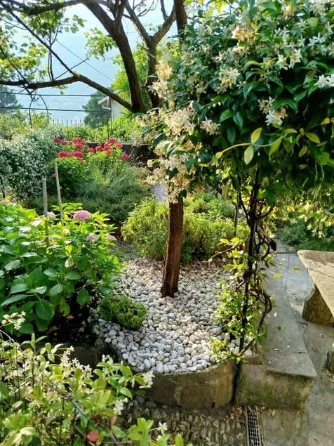 Lake Como, SERA Studio, garden, pedestrian area - Image 1