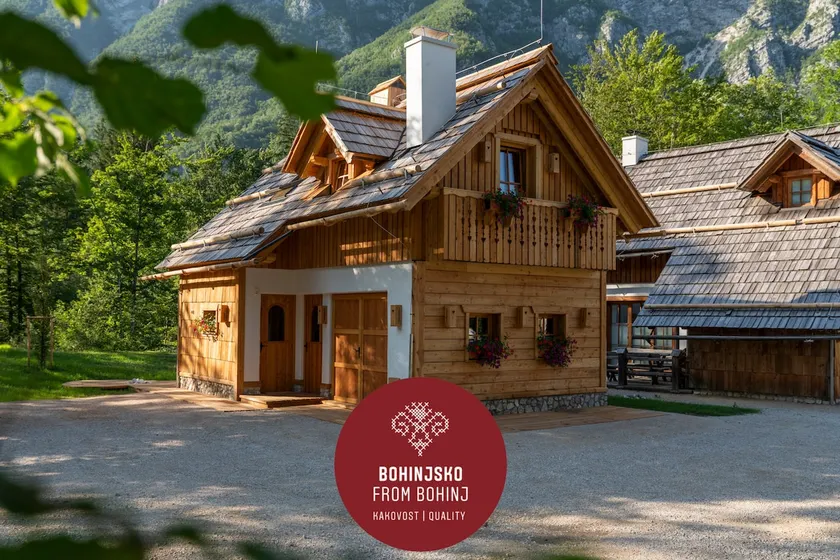 Chalet Studio GOVIC with Mountain view, Fireplace - Image 1