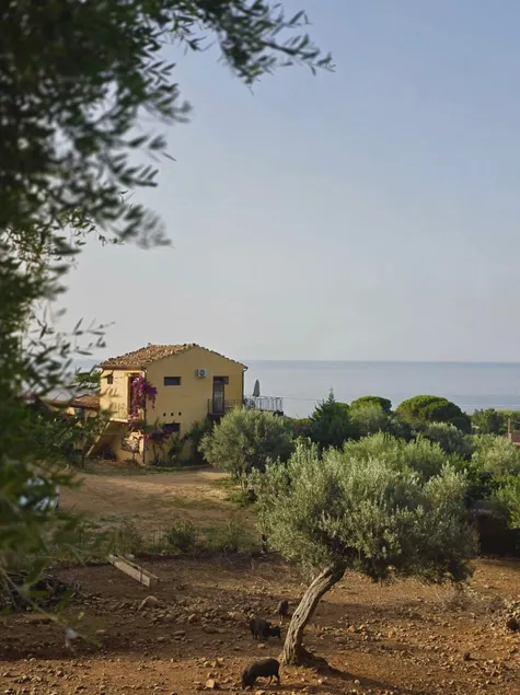 The FARM ON THE SEA - the farmer's house - Image 1