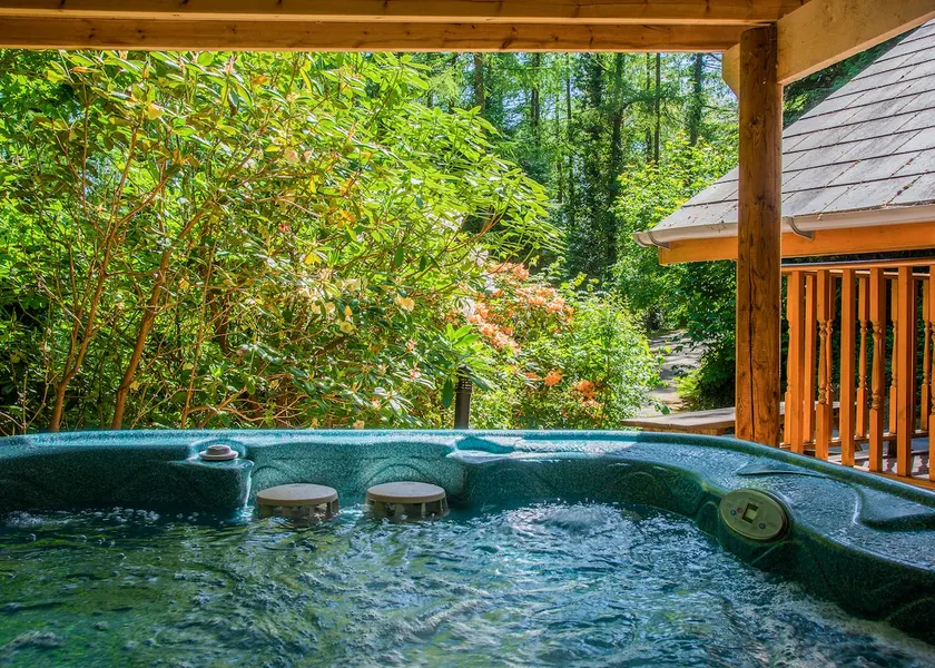 Chalet with barbecue & jacuzzi - Image 1