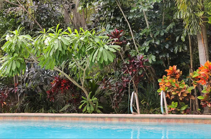 Orlando Tropical Oasis - Image 1