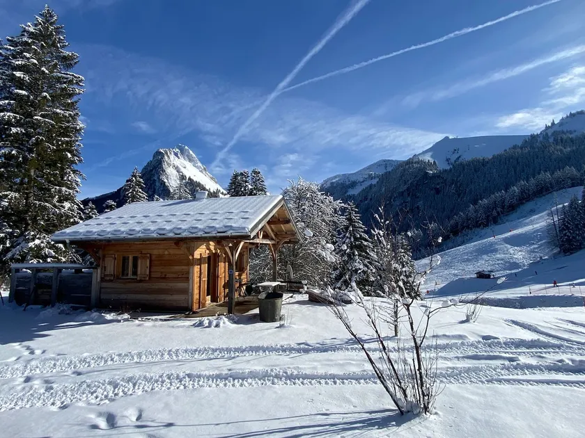 Mountain cabin with hot tub - Image 1