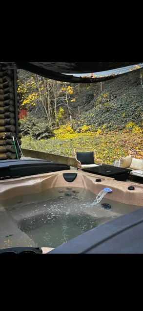 Serendipity Cabin Hot tub, family fun, gorgeous! - Image 1