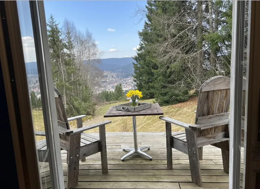 Terrace & garden • Cozy for 2 • Gérardmer 5 min away - Image 1