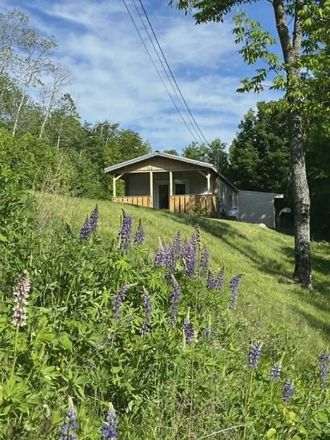 Trailside Cabin In Perfect Location! - Image 1
