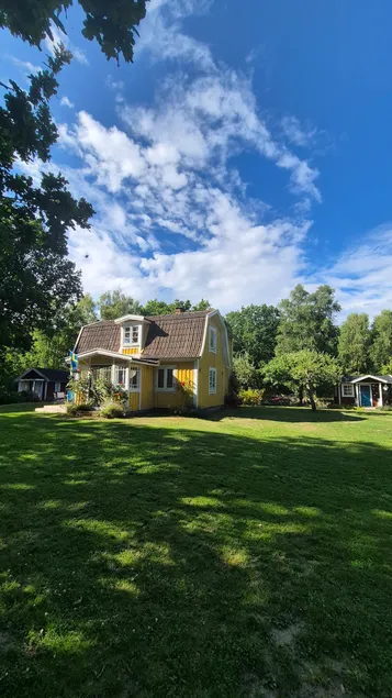 Summer idyll near the sea - Image 1