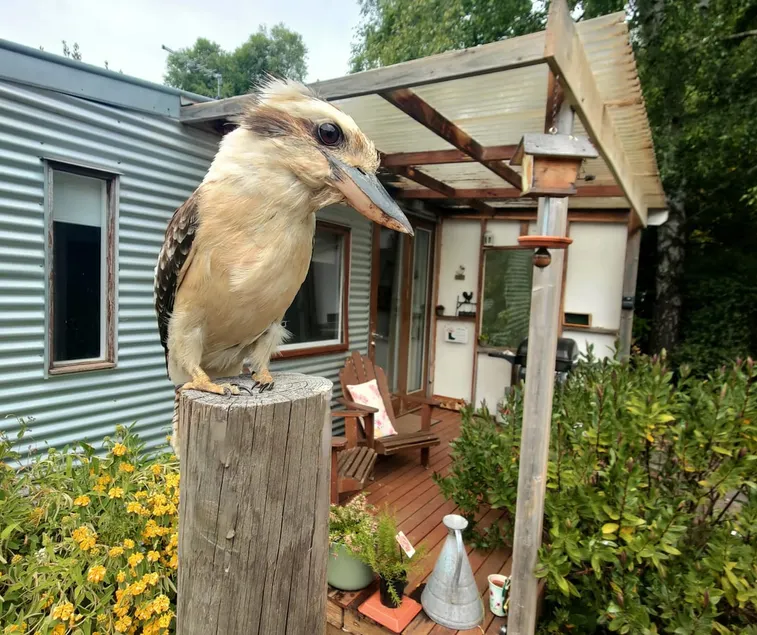 Stoney Creek Cottage - Image 1
