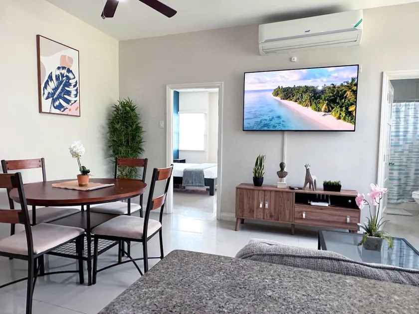 Modern 1BR Condo in Kingston - Image 1
