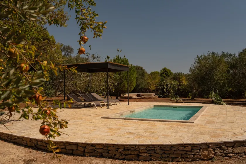 The Almond Tree House - Image 1