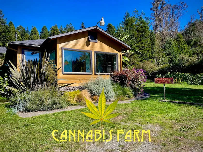 Stylish Farmhouse on Cannabis Farm - Cabin Feel - Image 1