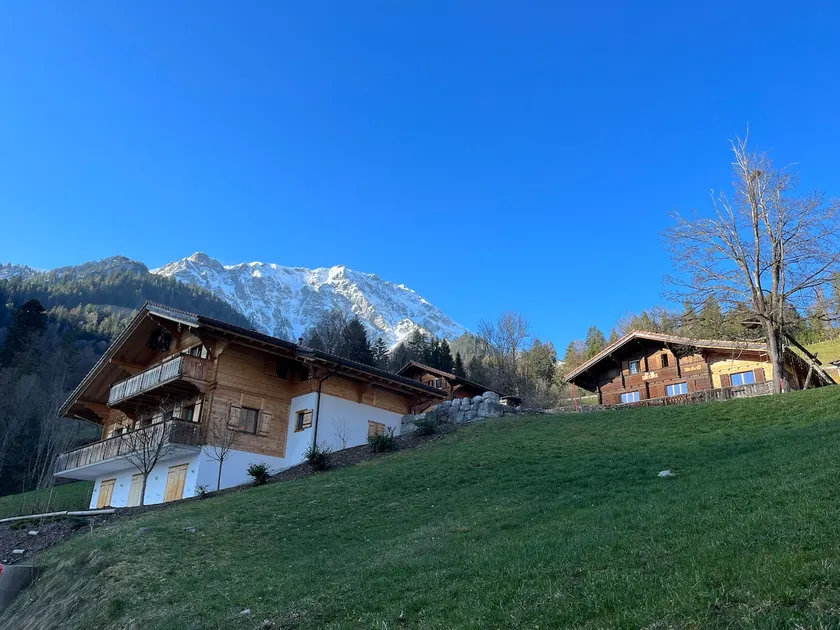 Le Bouquetin Chalet: Alpine Beauty & Tranquility - Image 1