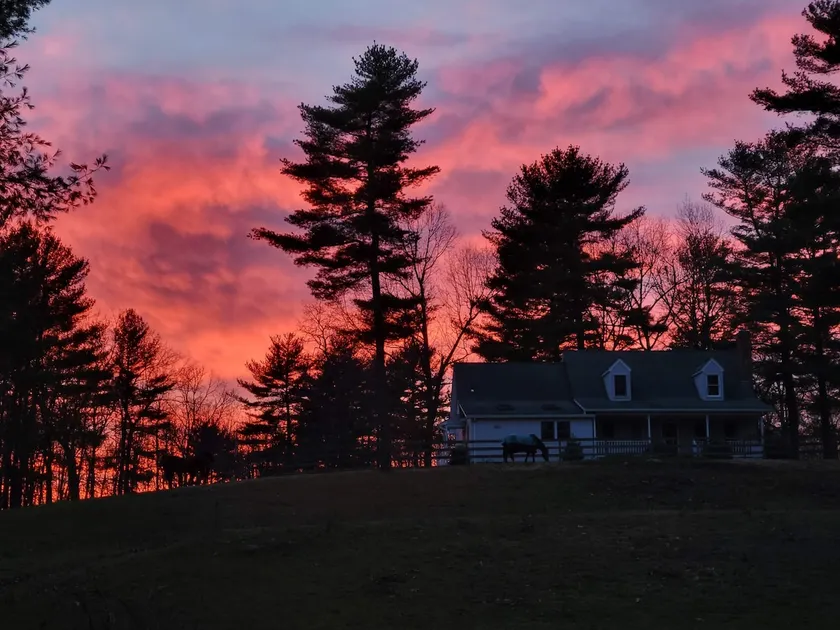 Serene 1-bedroom suite on 75 acre horse property - Image 1