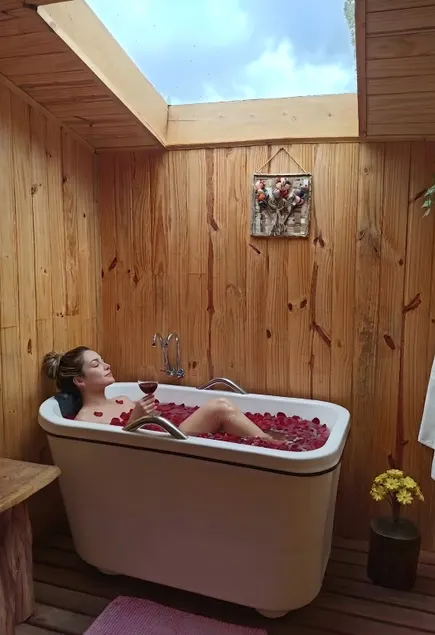 chalet with ofuro and gourmet solarium - Image 1