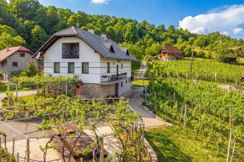 Vrtin Vineyard Family Retreat - by Happy Rentals - Image 1