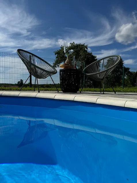 Cvetković hill wooden holiday home with pool - Image 1