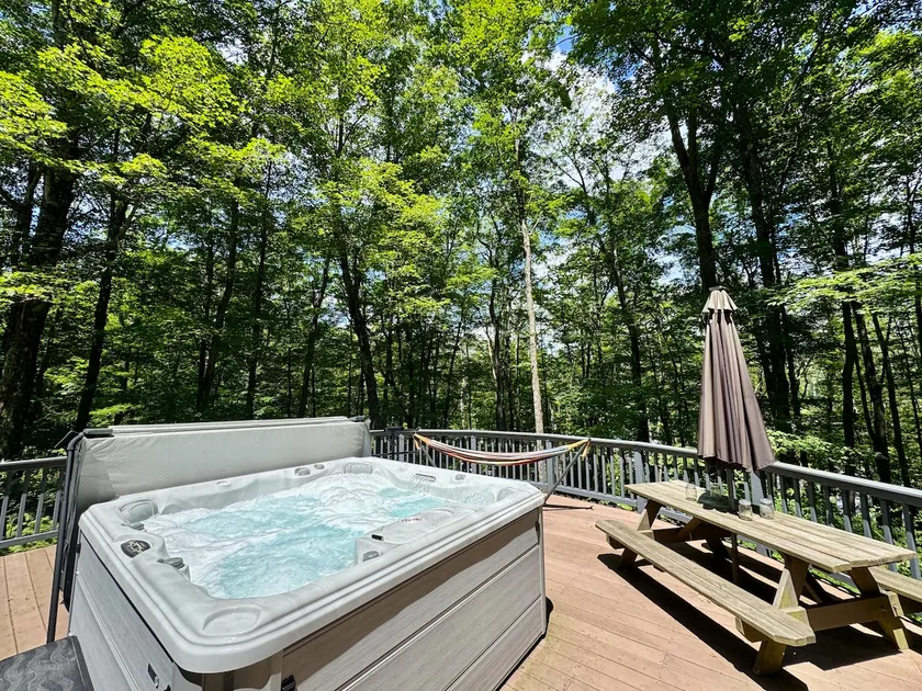 Catskills Memories · Hot Tub·Sauna·Fire Pit·Vinyl - Image 1